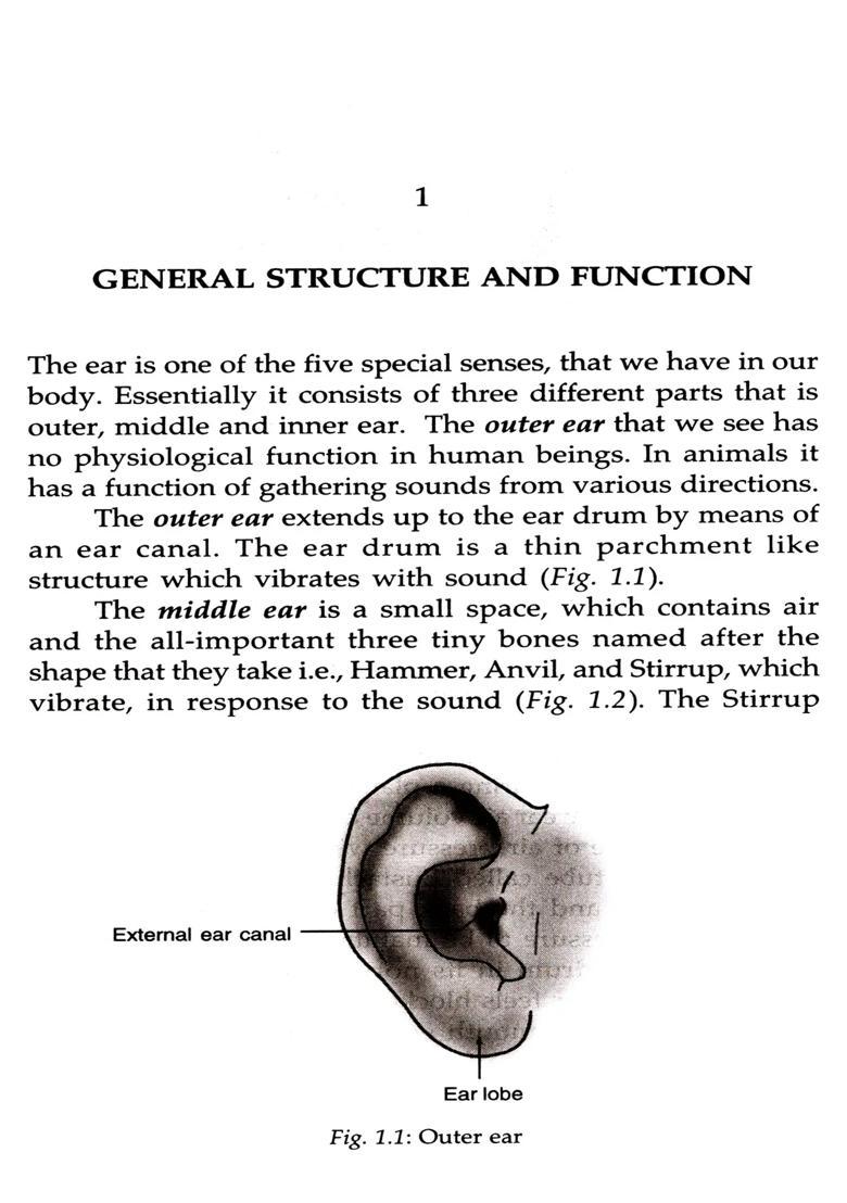 Easy Guide to Ear Nose and Throat- Common Problems and Treatment - Indya