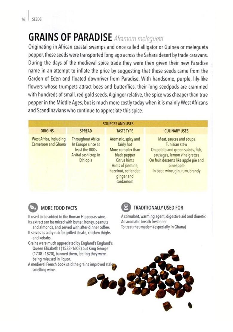 The Power of Spices Origins, Traditions, Medicinal Properties - Indya