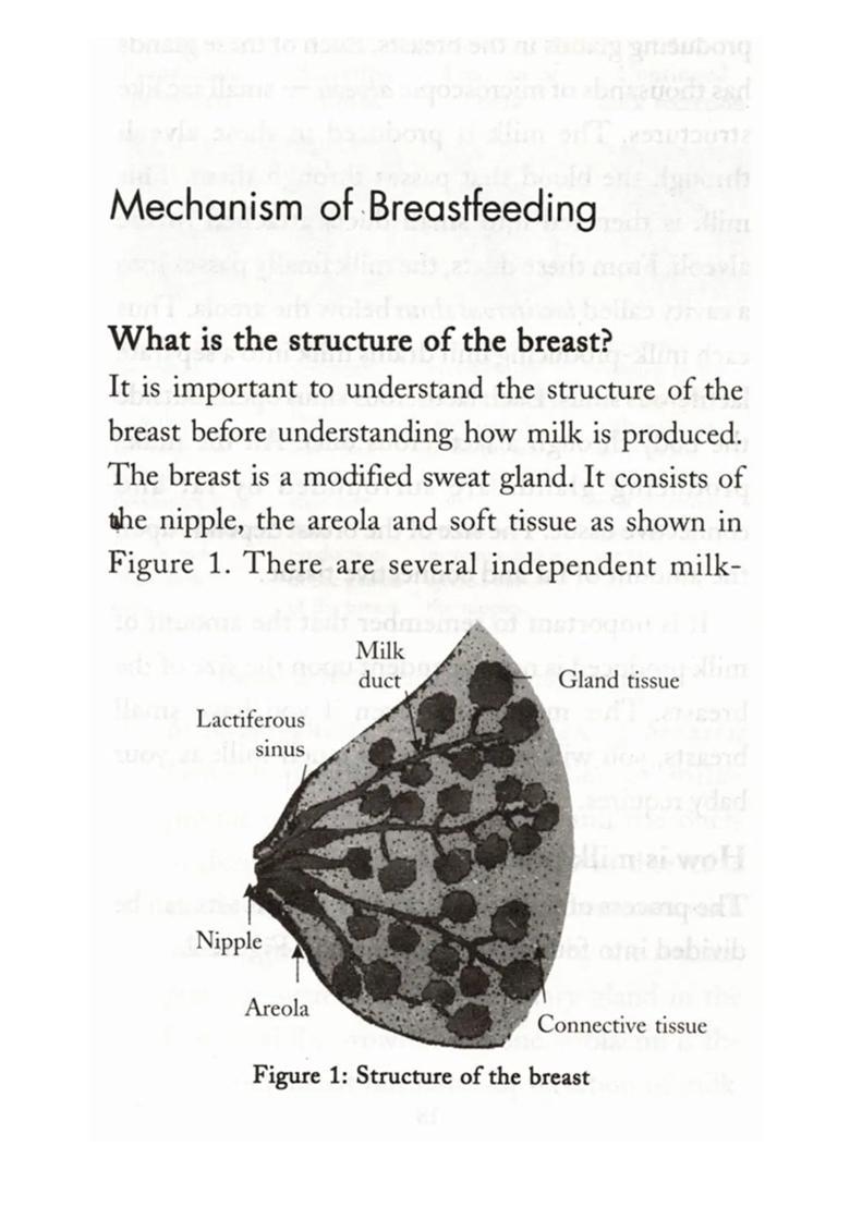 Infant Nutrition - Are You Sure Your Baby is Getting Proper Nutrition - Indya