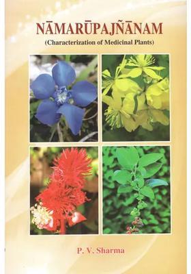 Namarupajnanam (Characterization of Medicinal Plants Based on Etymological Derivation of Names and Synonyms)