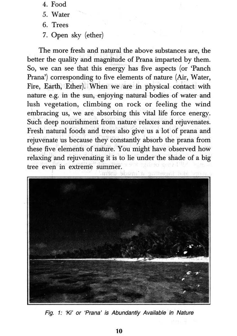 Healing Through Reiki - Indya