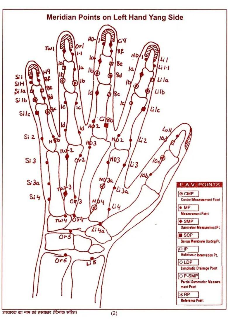 Electro- Acupressure- Charts Booklet (EAV) - Indya