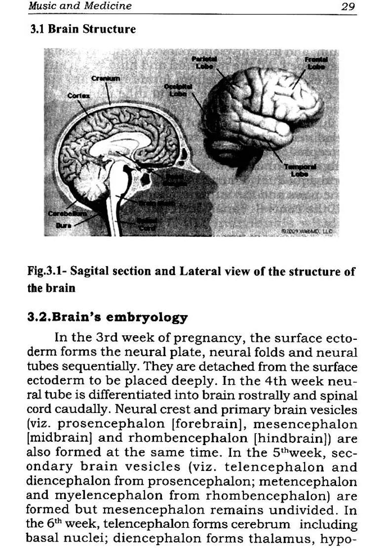 Music and Medicine (Healing Brain Injury Through Ragas - A Study) - Indya