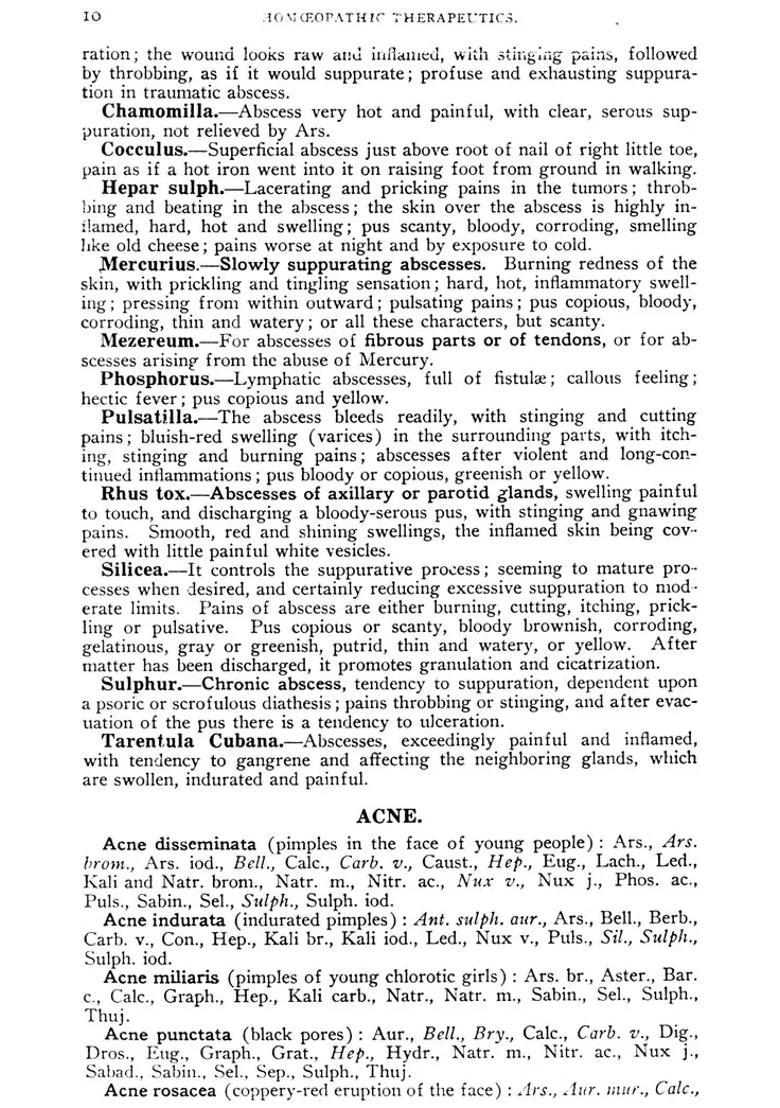 Homoeopathic Therapeutics (The Classical Therapeutic Hints) - Indya