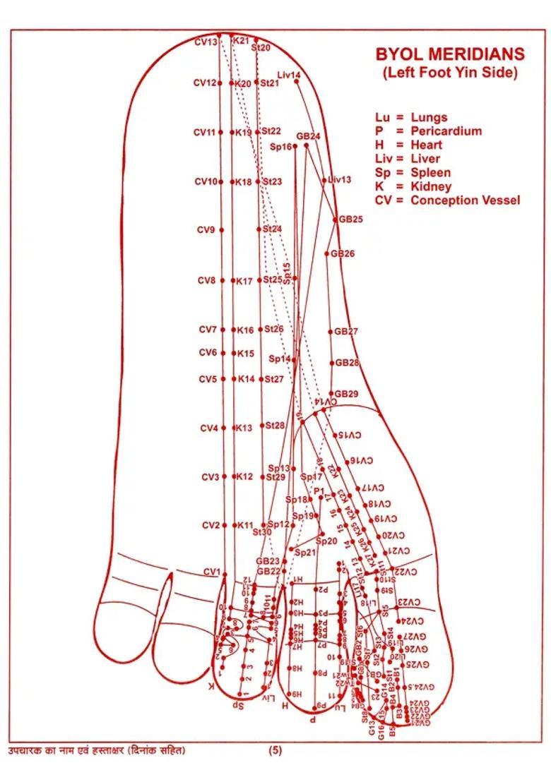 Chinease Acupressure Charts Booklet - Indya