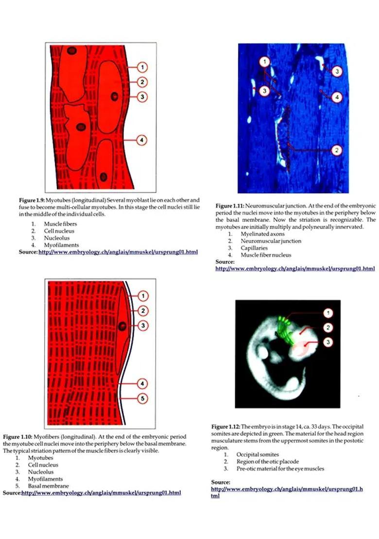 Interactive Workshop on Ayurveda (Mamsavaha Srotas and Neuro-Muscular System, Diseases and their Management Through Ayurveda) - Indya