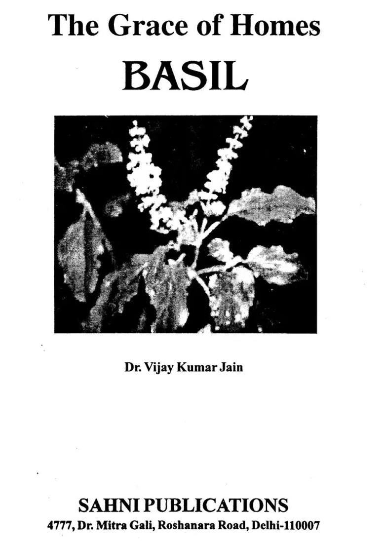 The Grace of Homes Basil (Tulsi) - Indya