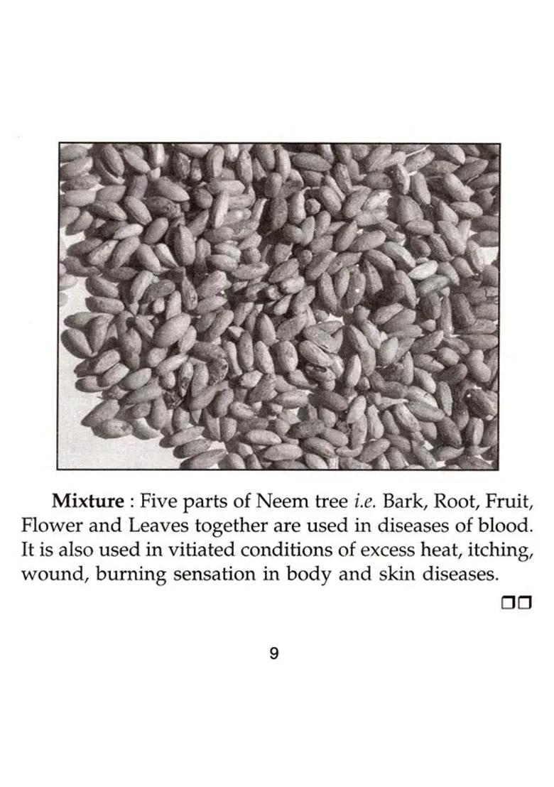 Home Remedies Neem A Medicinal Tree (An Antiseptic, Blood Purifier, Mental Strength Builder, Long Life Giver and Air Purifier) - Indya