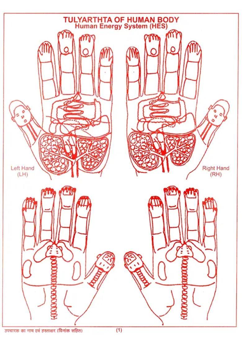 Ayurvedic Acupressure Charts Booklet (Ten Origin Concept) - Indya