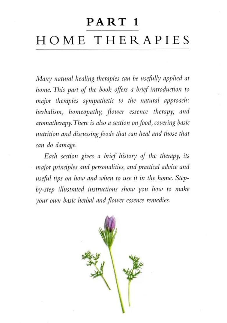 The Complete Family Guide to Natural Home Remedies- Combating Illness Naturally - Indya