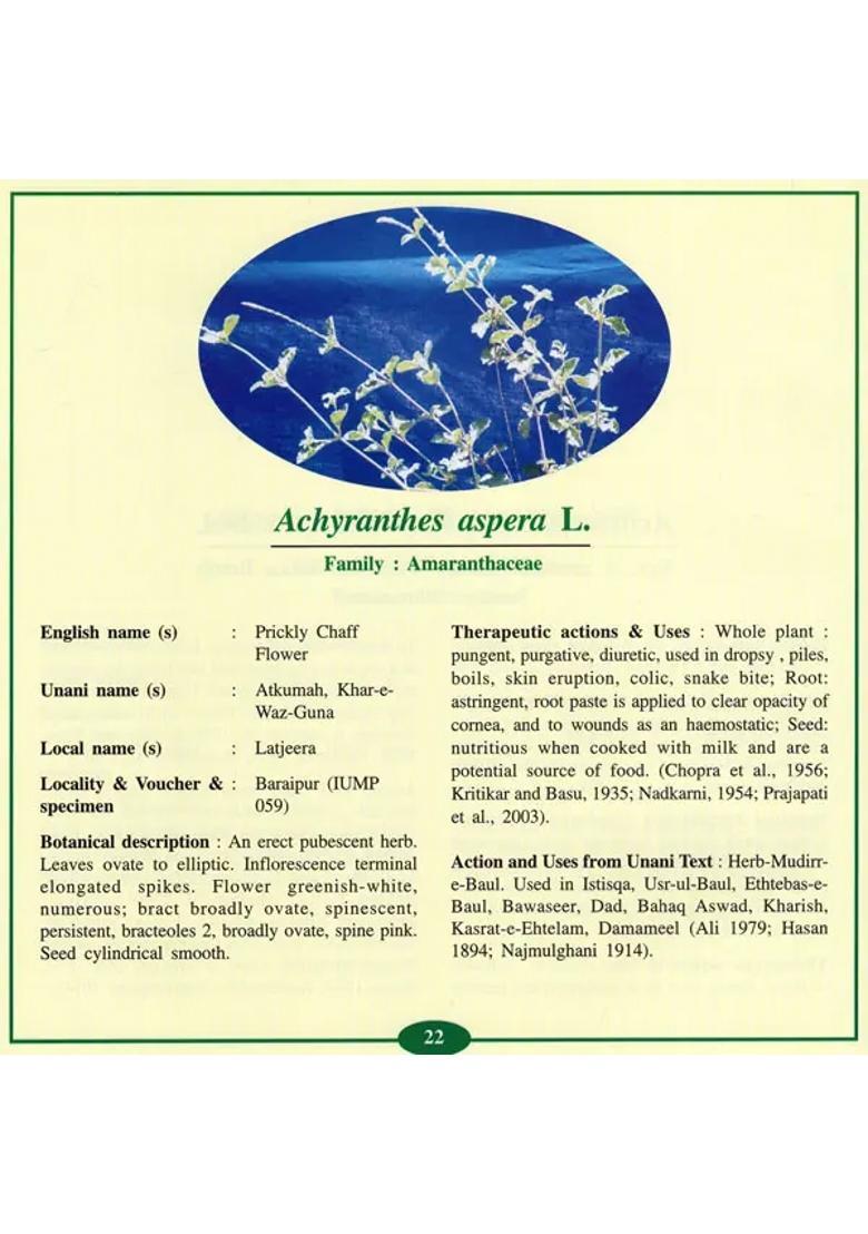 Unani Medicinal Plants of Siddharthnagar Forest Division Uttar Pradesh - Indya