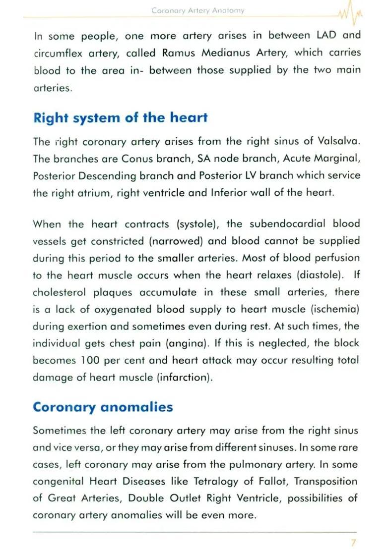 Healthy Heart- An Aid to Staying Fit - Indya