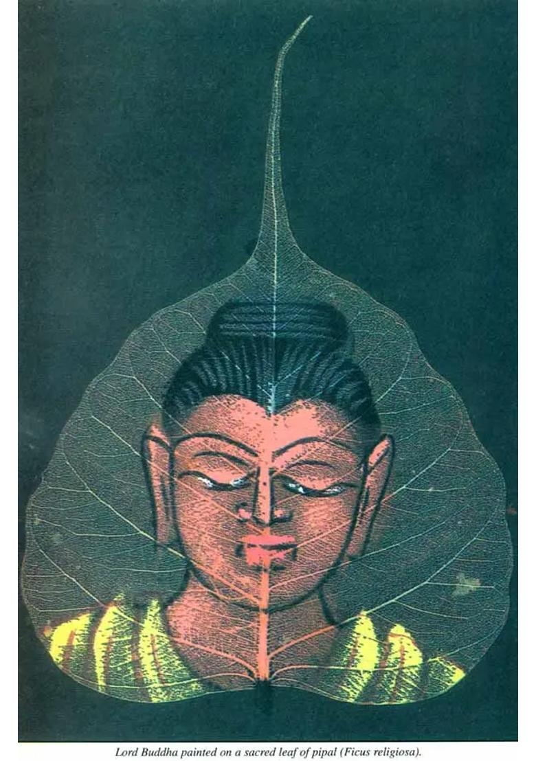 Religious Useful Plants of Nepal India - Indya