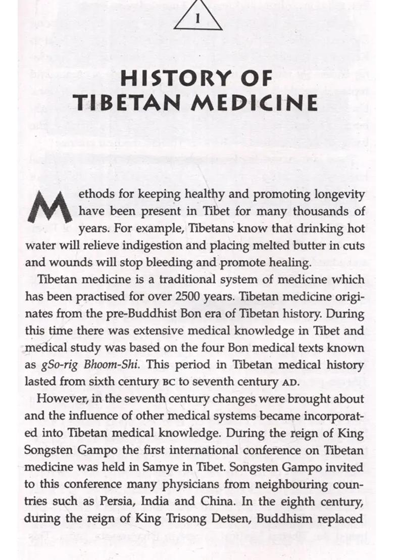 Principles of Tibetan Medicine - Indya