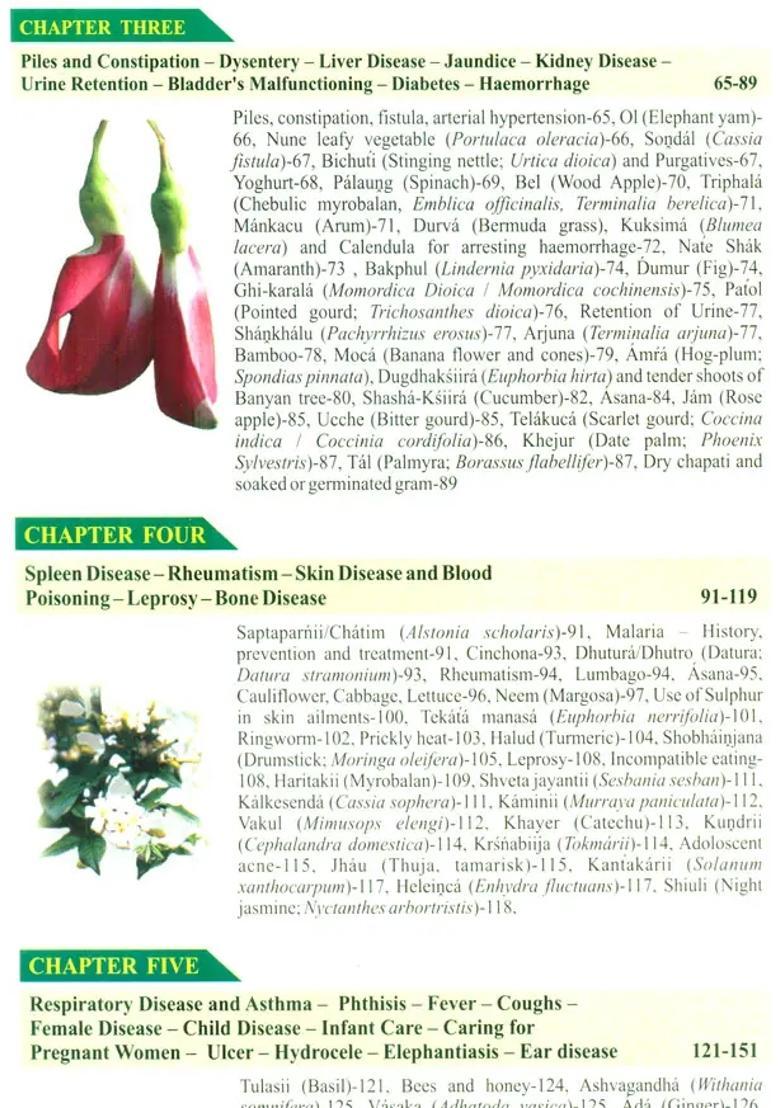 Natural Medicine - Indya