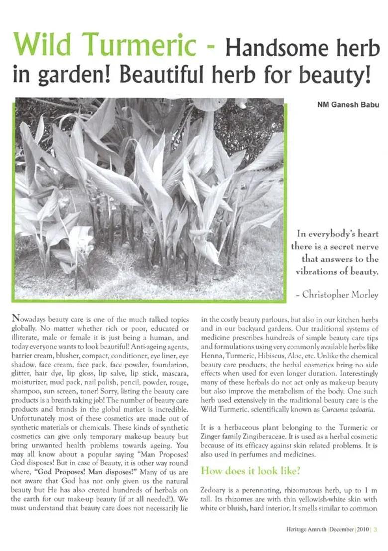 Heritage Amruth (Beauty Care) - Indya