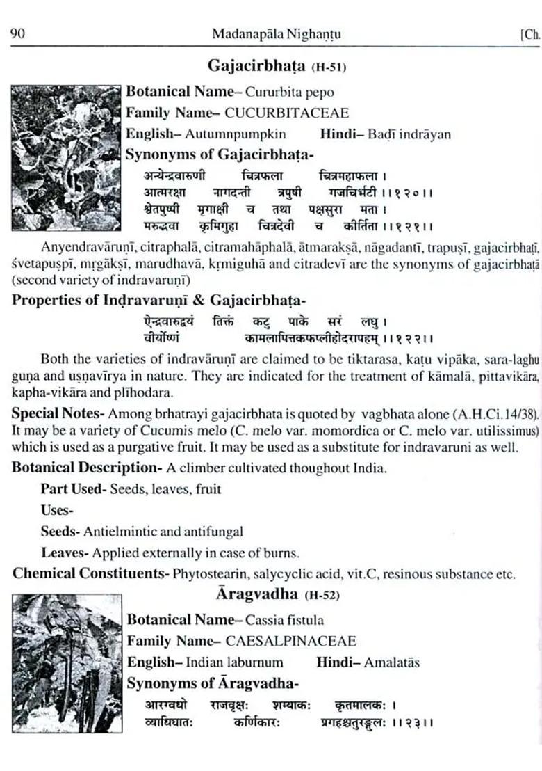 Madanapal Nighantu (Illustrated) - Indya