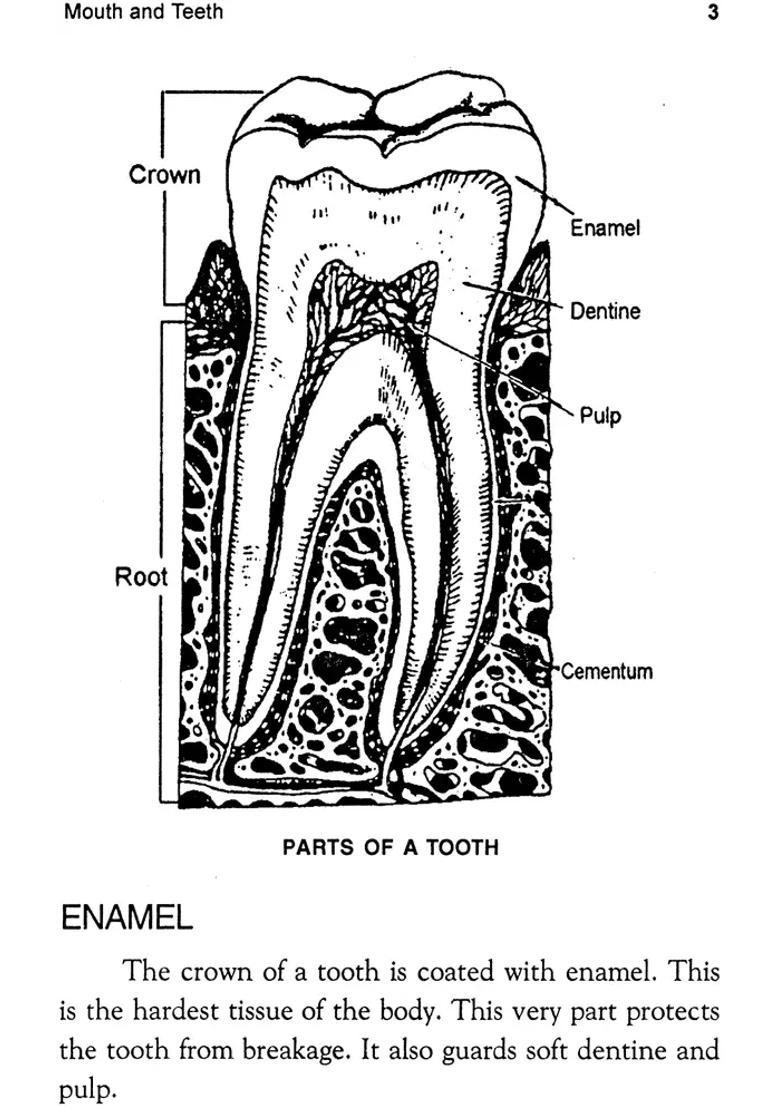 Dental (Diseases and Their Homeopathic Treatment) - Indya
