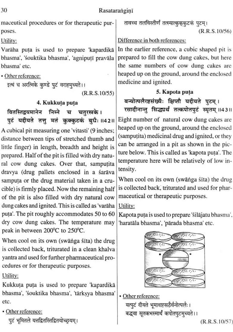 Rasa Tarangini of Sri Sadananda Sarma - Indya