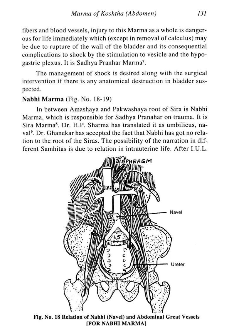 Marma and its Management - Indya