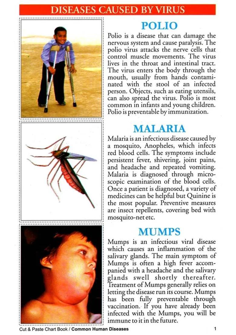 Cut Paste Common Human Diseases (Chart Book) - Indya