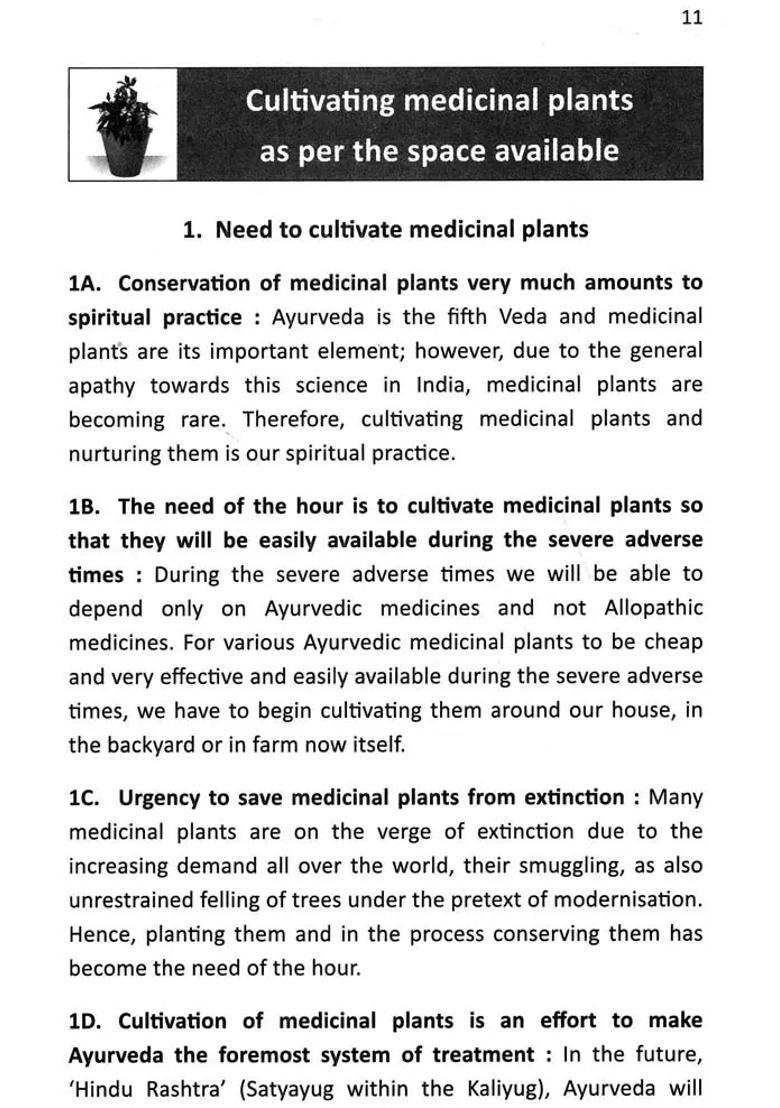 Cultivating Medicinal Plants As per the Space Available - Indya