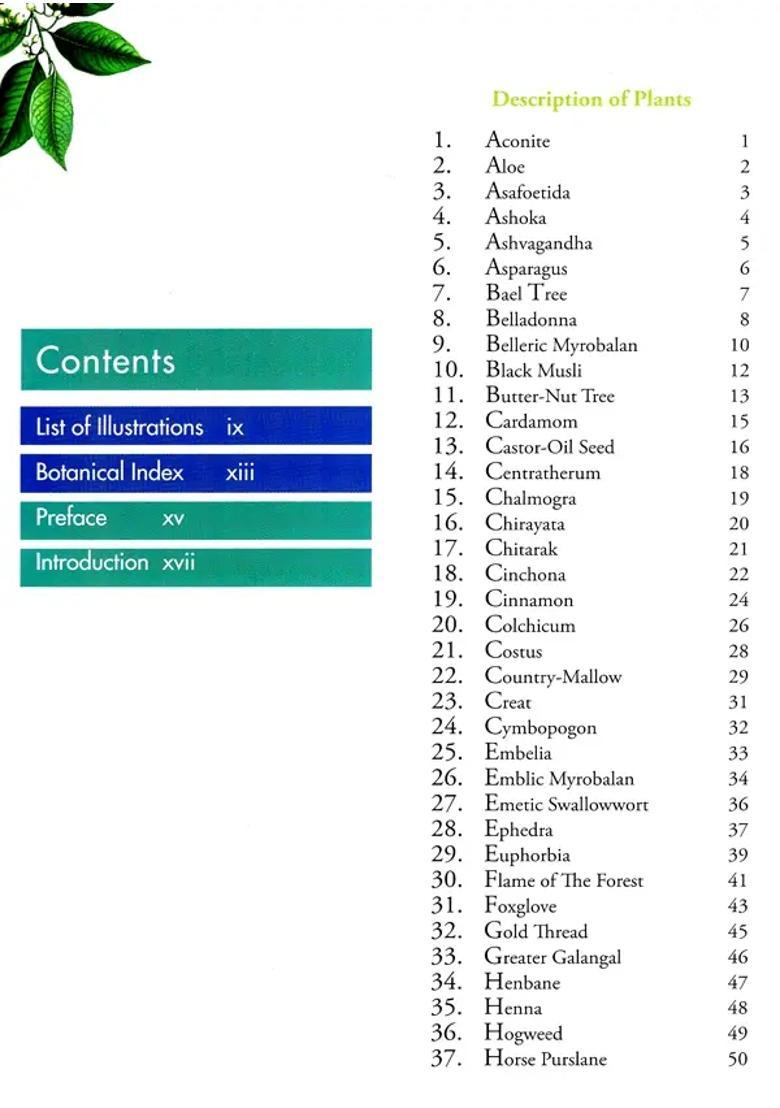 Medicinal Plants - Indya