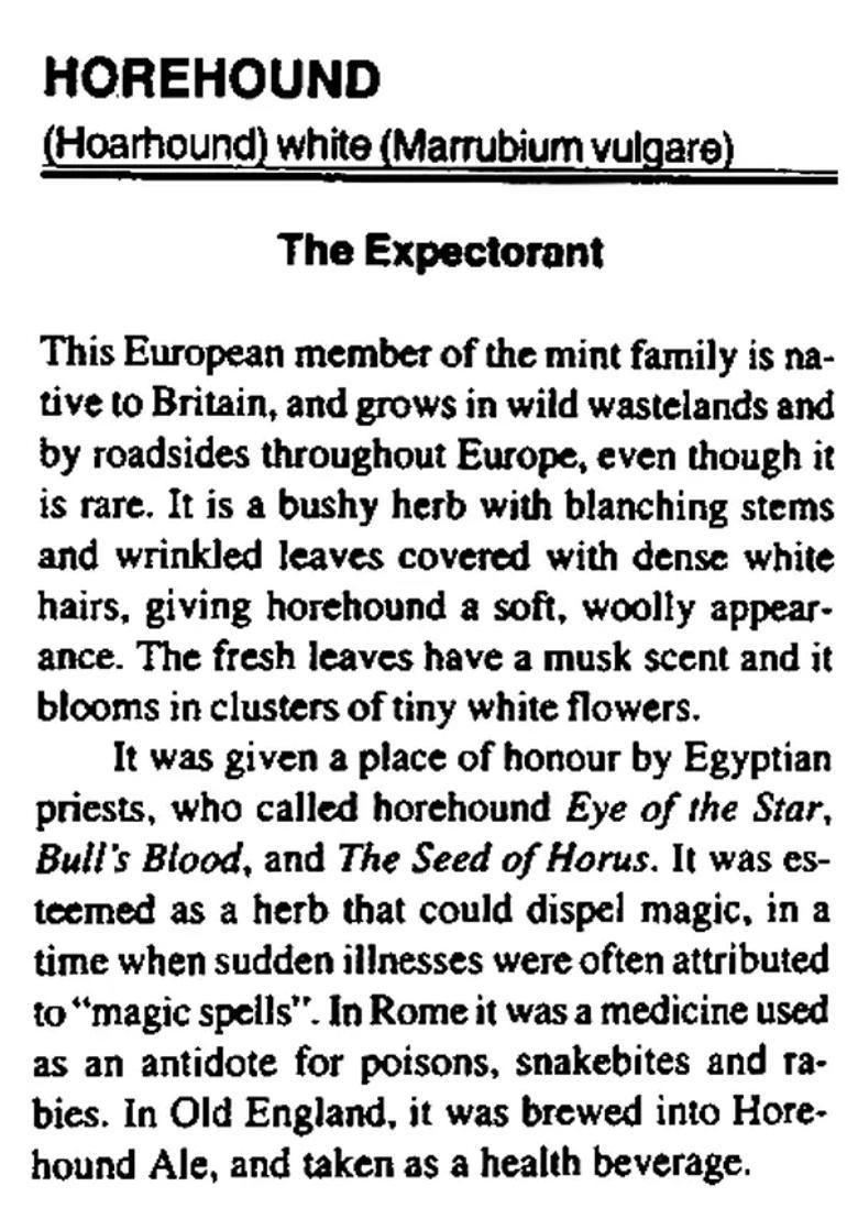 Flowers and Their Medicinal Uses - Indya