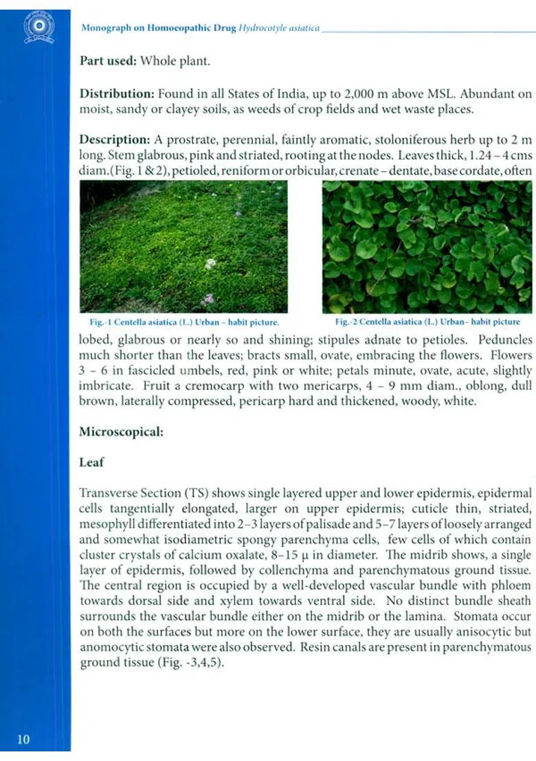 Monograph on Homoeopathic Drug Hydrocotyle Asiatica - Indya