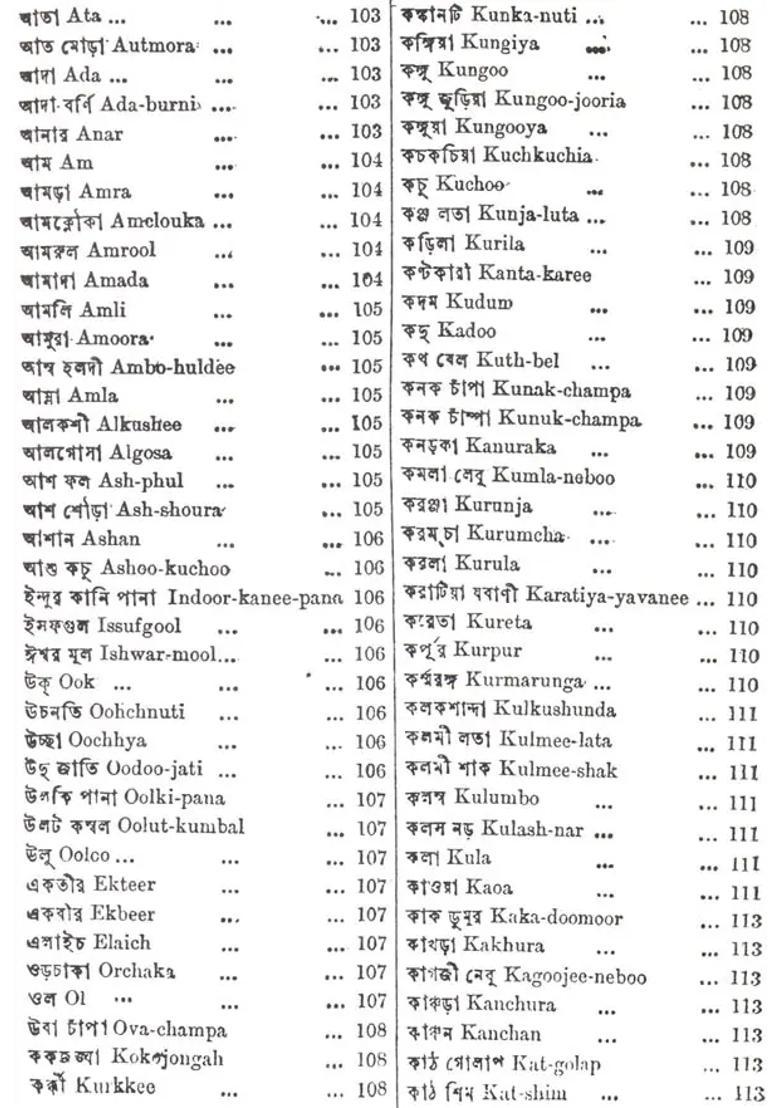 Hindu Practice of Medicine - Indya