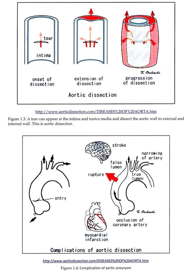 Interactive Workshop on Ayurveda (Prognosis Through Arishta Lakshanas and Their Scientific Basis) - Indya