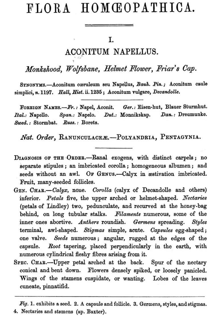 The Flora Homoeopathica (Coloured Illustrations and Descriptions of the Medicinal Plants used as Homeopathic Remedies) - Indya