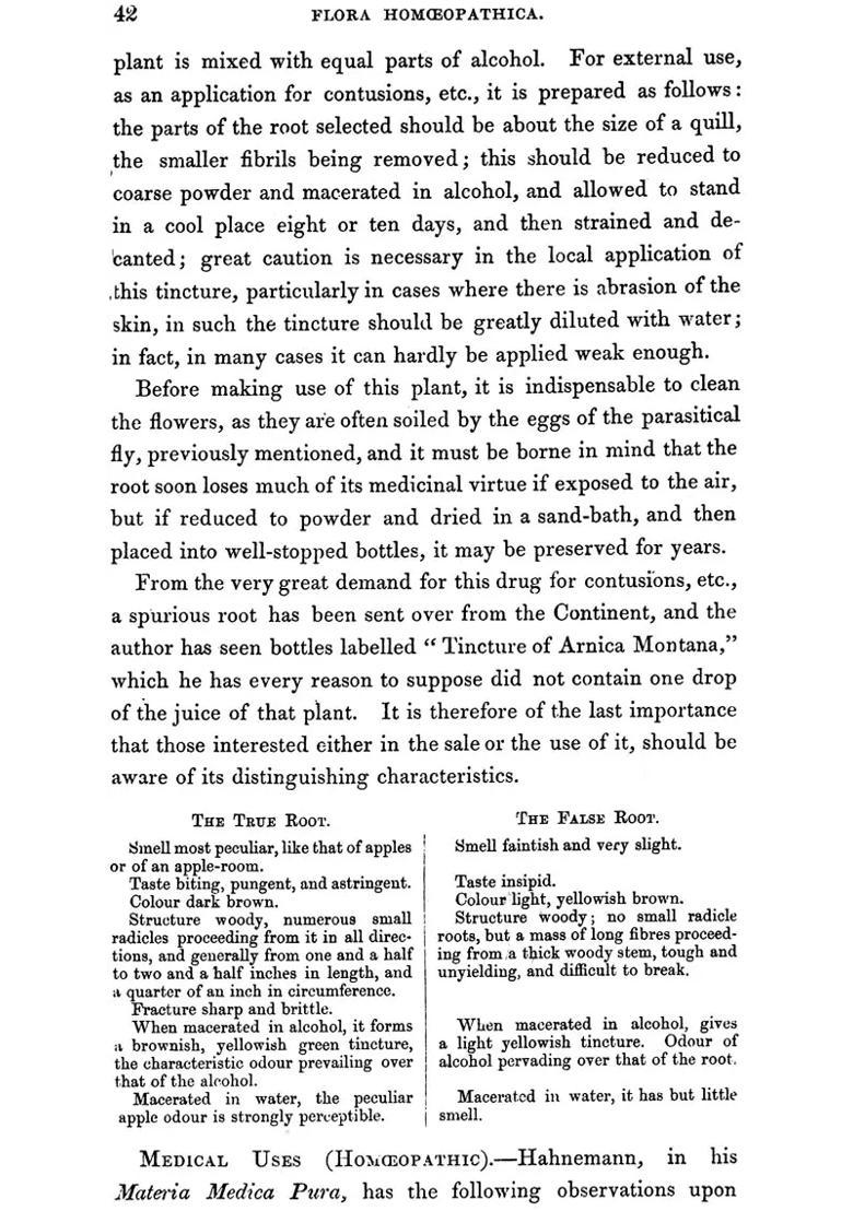 The Flora Homoeopathica (Coloured Illustrations and Descriptions of the Medicinal Plants used as Homeopathic Remedies) - Indya