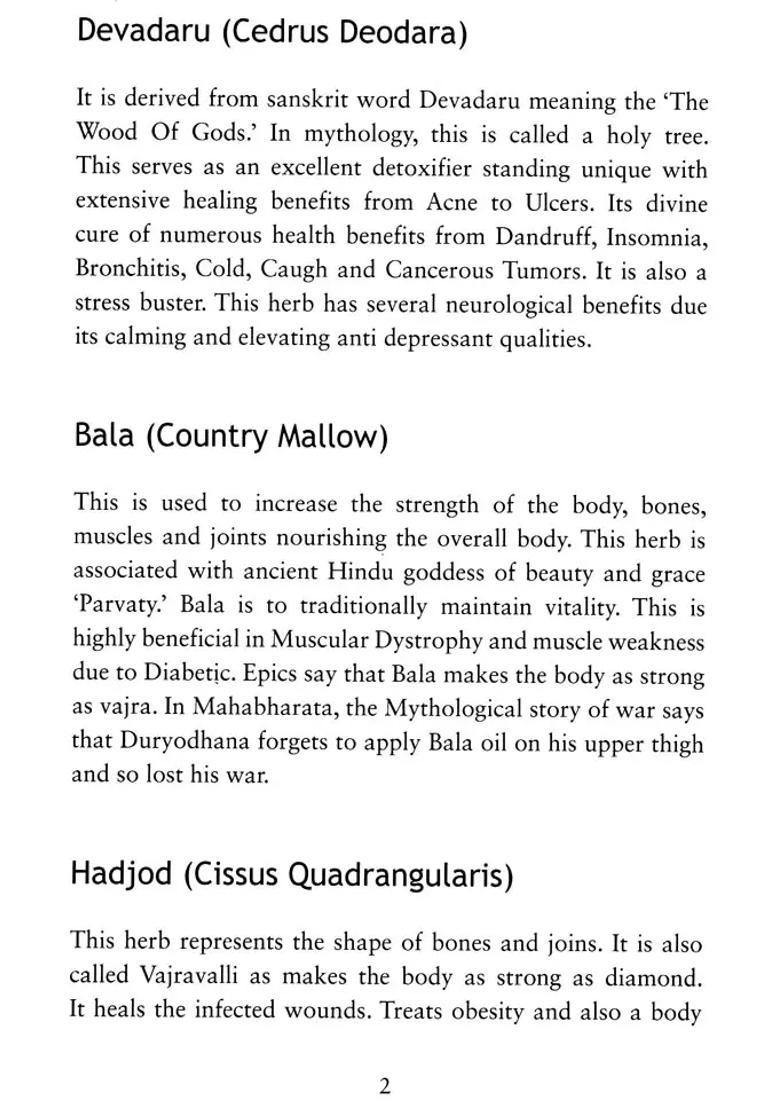 Traditional Roots (Ancestral Healing Touch) - Indya