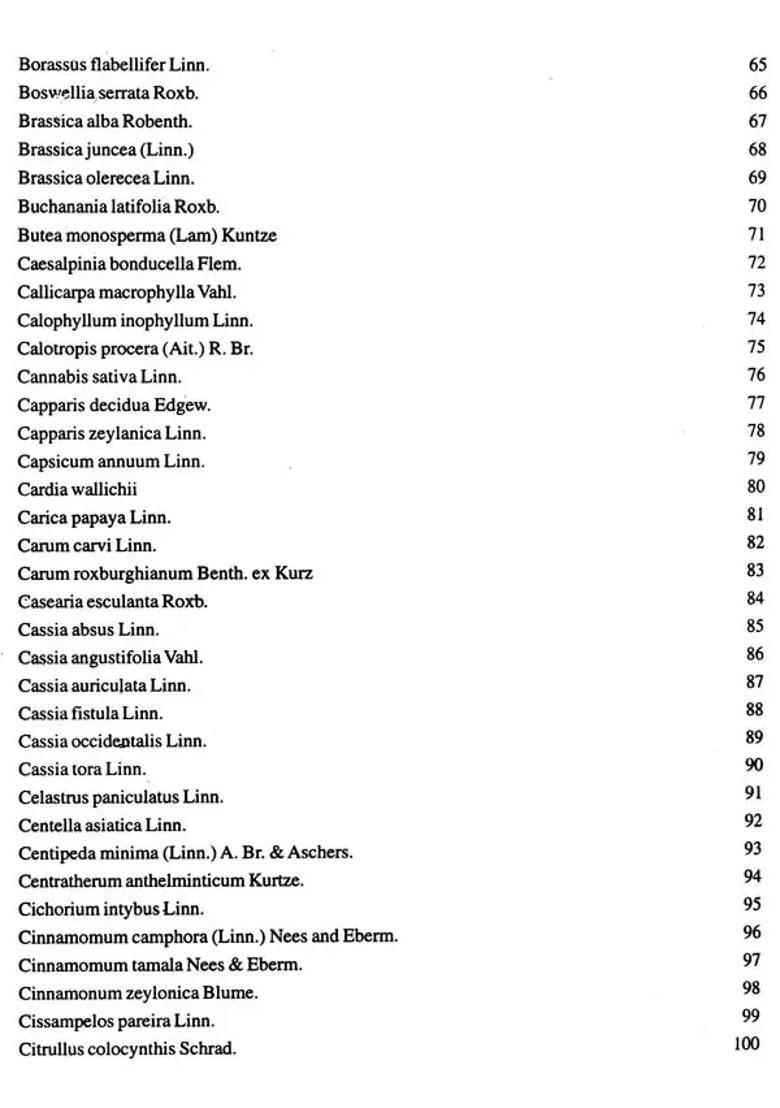 The Ayurvedic Plants - Indya