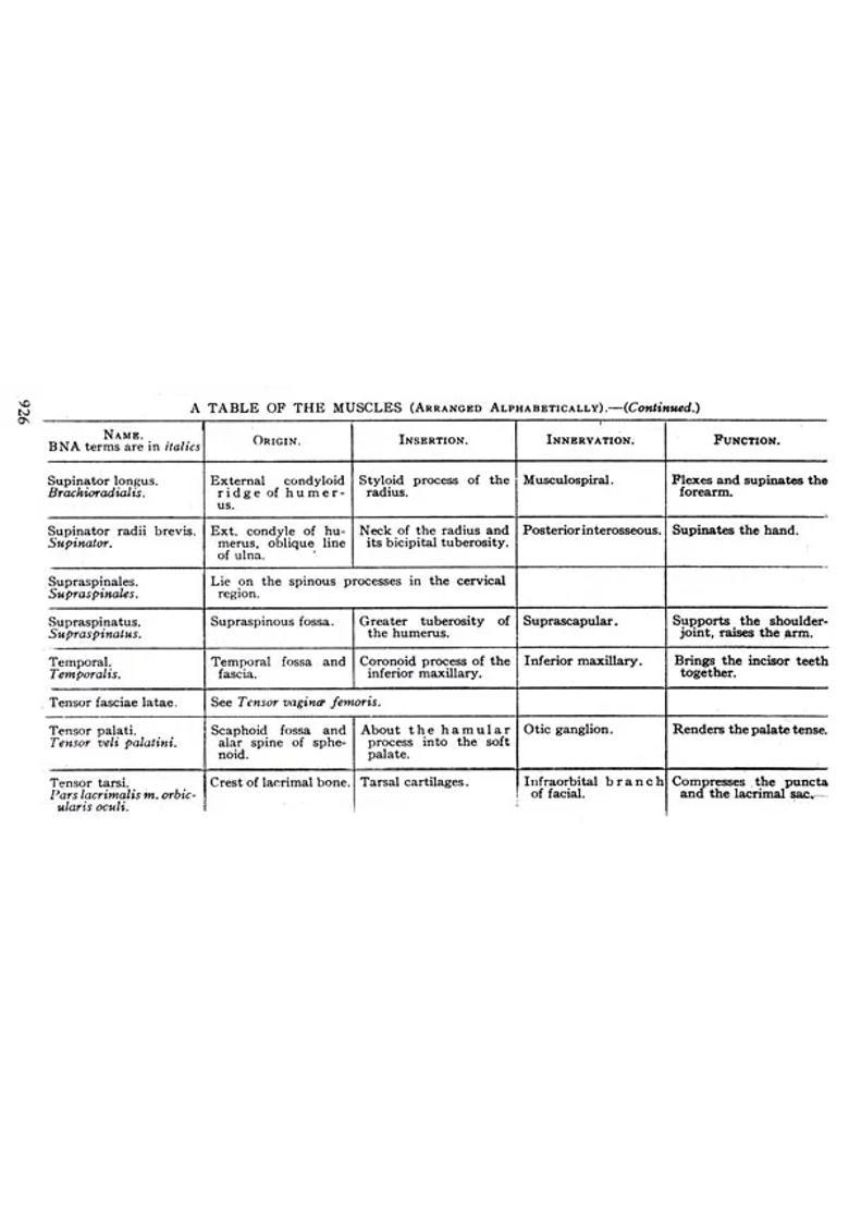 Pocket Medical Dictionary for Homeopaths - Indya