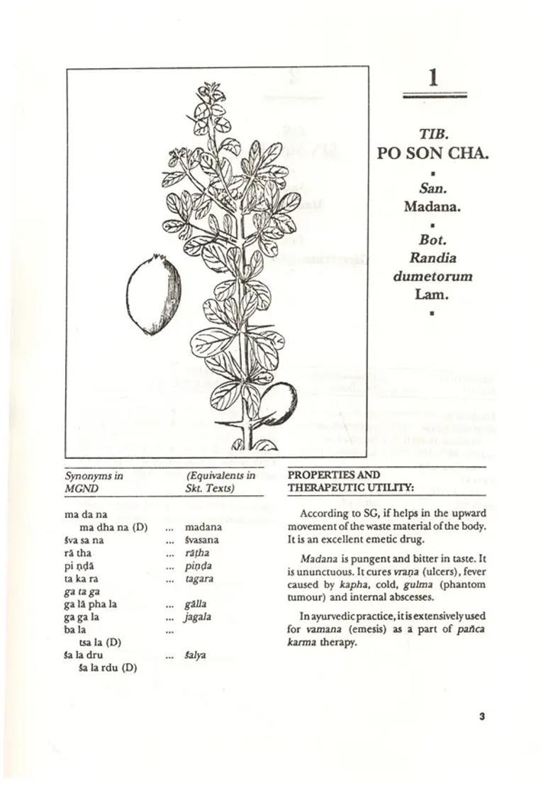 Materia Medica of Tibetan Medicine Vaidya Bhagwan Dash (An Old and Rare Book) - Indya