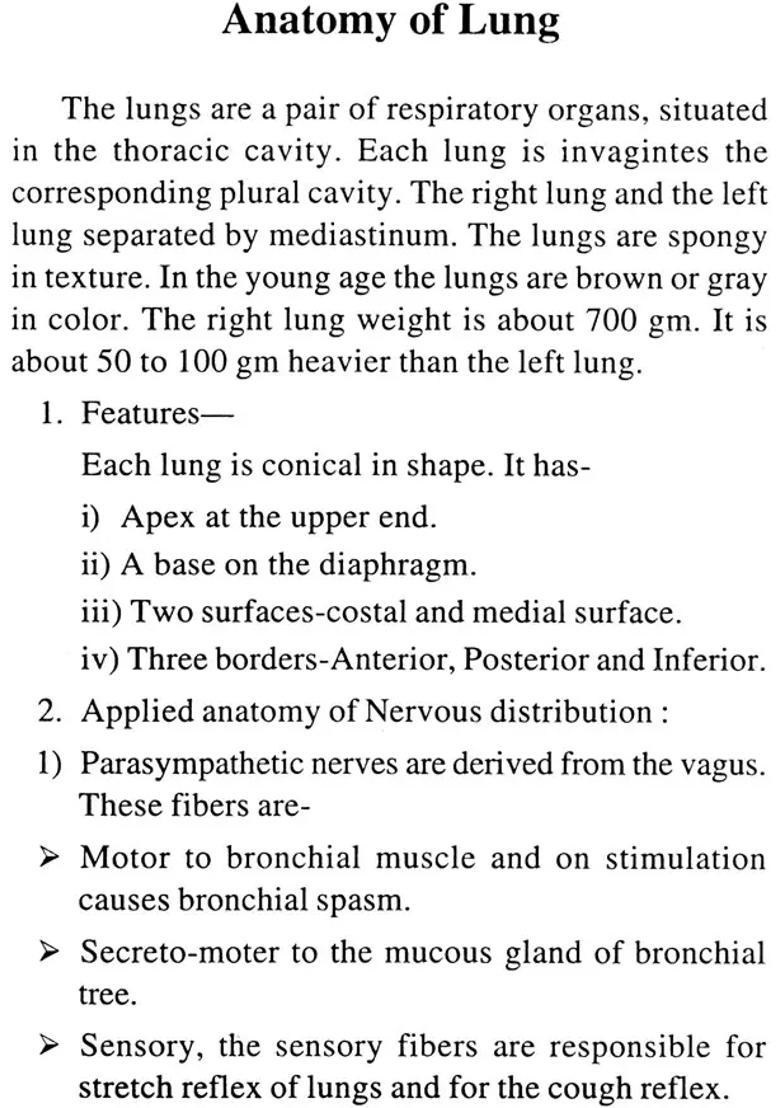Pharmacological Action of the Drugs Acting on Respiratory System - Indya
