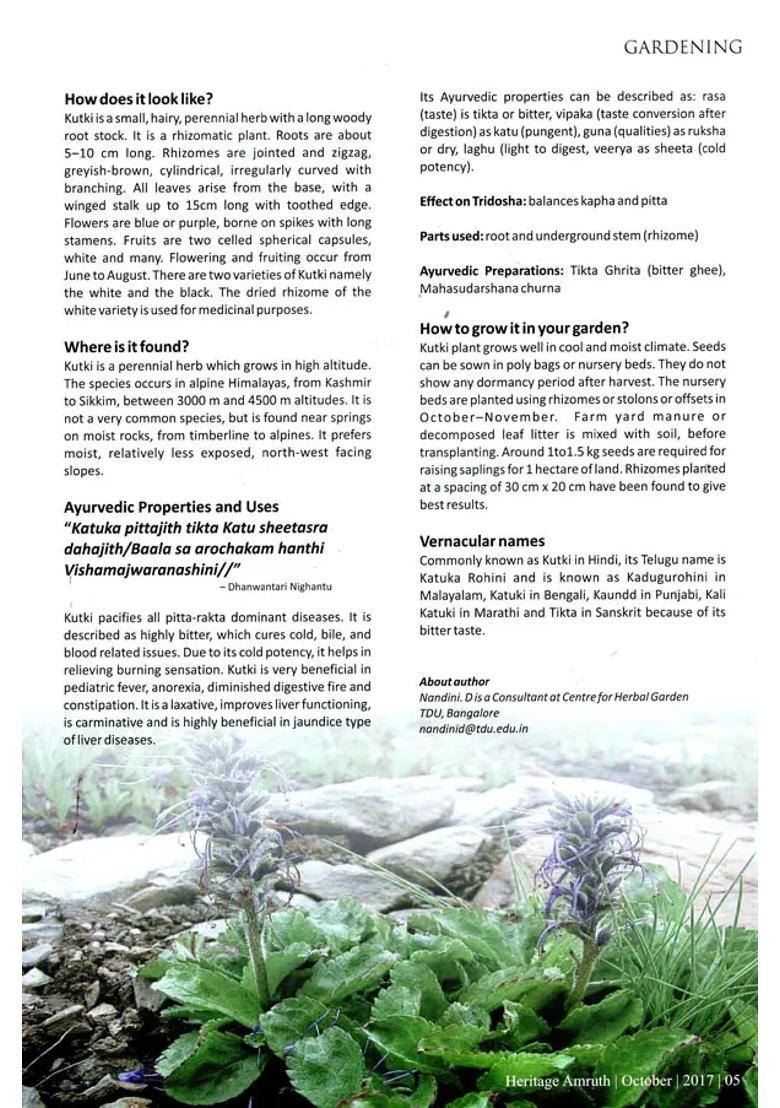 Heritage Amruth (Liver Care) - Indya