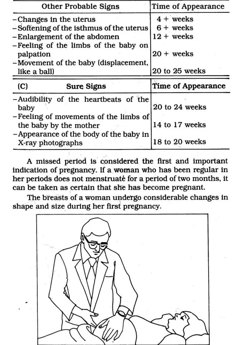 The Pregnancy and Baby Care Book - Indya