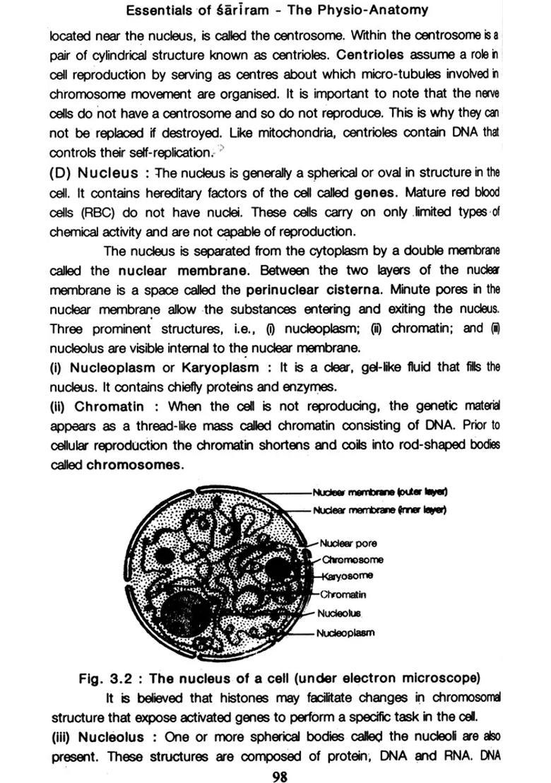 Essential of Sariram (The Physio- Anatomy) - Indya