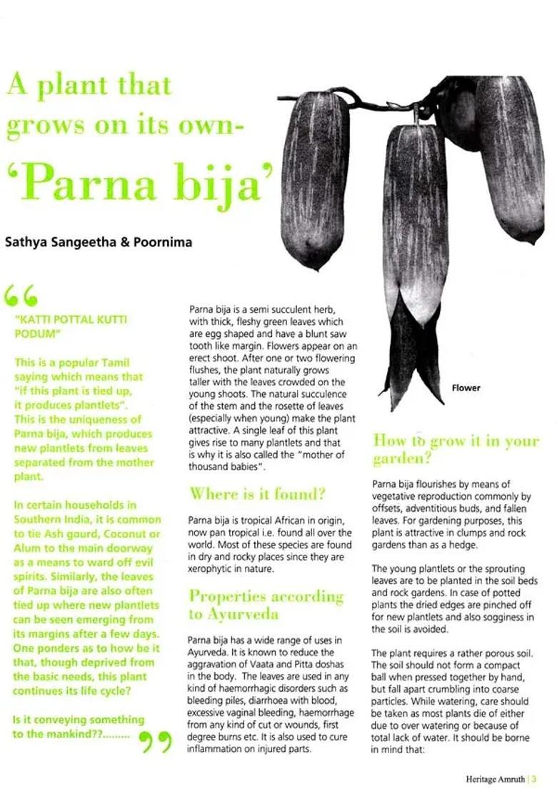 Amruth Special (Nutrition, Obesity, Traditional Cooking) - Indya