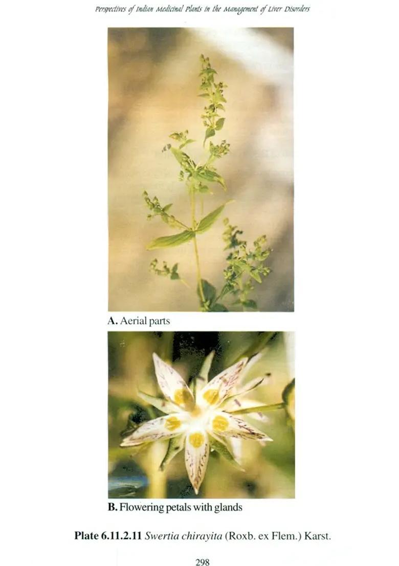 Perspectives of Indian Medicinal Plants in the Management of Liver Disorders - Indya