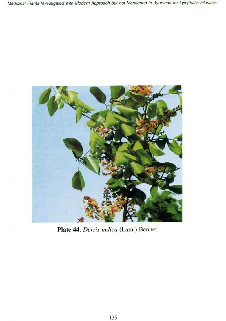 Perspective of Indian Medicinal Plants in The Management of Lymphatic Filariasis - Indya