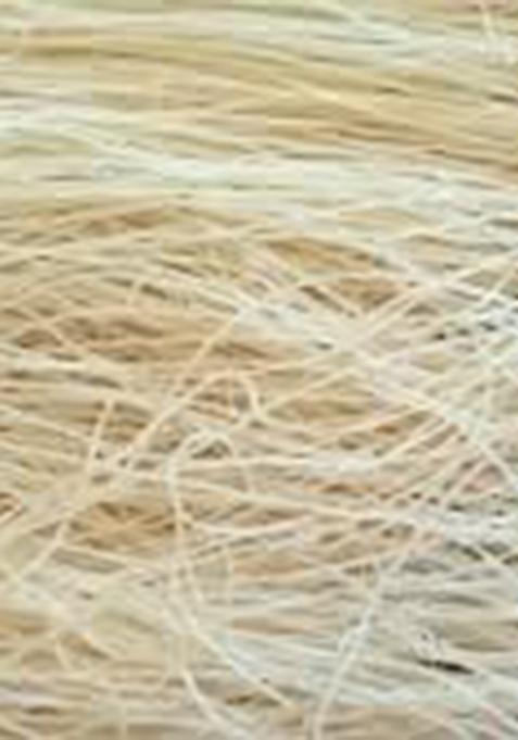 Shri Swastik Organics Falooda Sev (White)