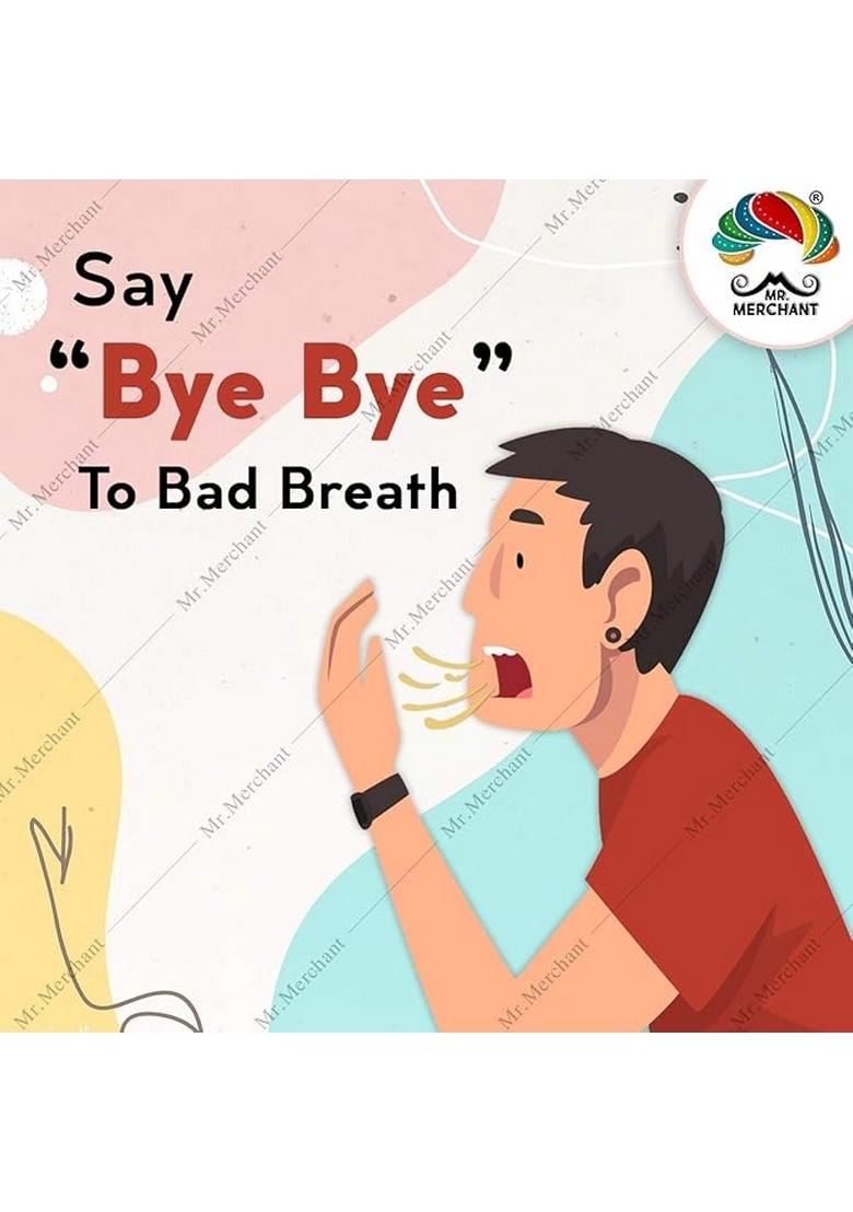 Mr. Merchant Mouth Freshener White Sweet Fennel Seeds Mukhwas (Madrasi Saunf), 400g