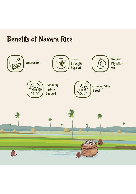 Rajamudi Organics USDA Certified Organic Navara Rajamudi Rice|Red Rice|Medicinal Rice|No Pesticides & Chemical Free-MOQ 1 Kg