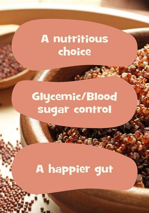 Nourish You Red Quinoa Seeds 500G | Premium Certified Grain | Gluten Free | High Protein | Fibre Rich Healthy Diet Food For Breakfast Cereal, Pilafs, Soups & Salads (Pack of 1)