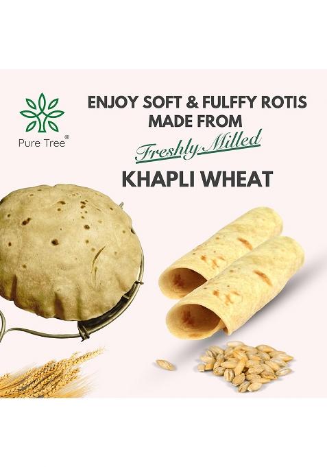 Pure Tree Certified Organic Freshly Milled (Khapli Aata) Wheat Flour | 350 g | Emmer Wheat Flour | Farro Wheat Atta | Khapli Wheat Gehu ka Atta Rich In Fiber | Low Gluten