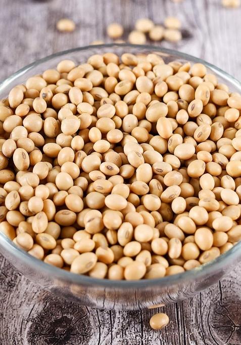 Urban Platter Soybeans Soya Bean, 1000 G